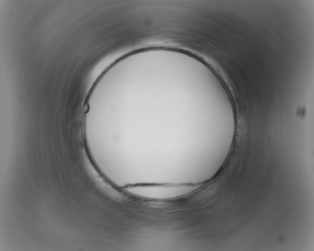 X0000112541295200909141303