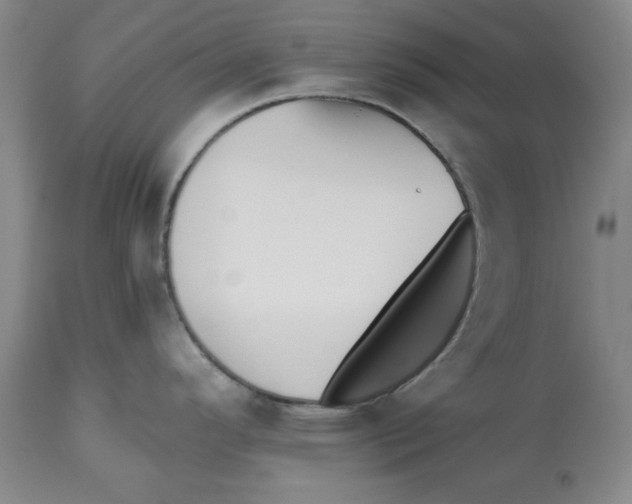 X0000112541296200909141303