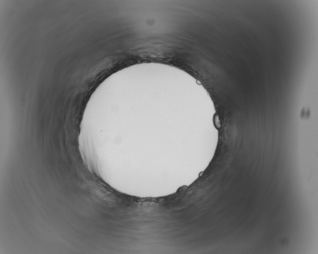 X0000112541297200909141302