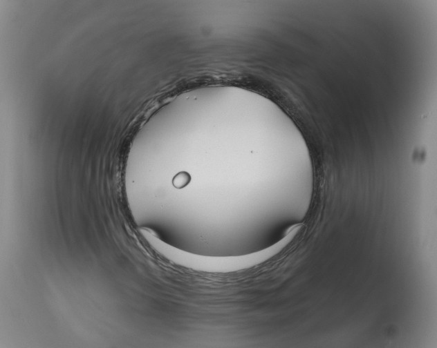 X0000112541298200909141302