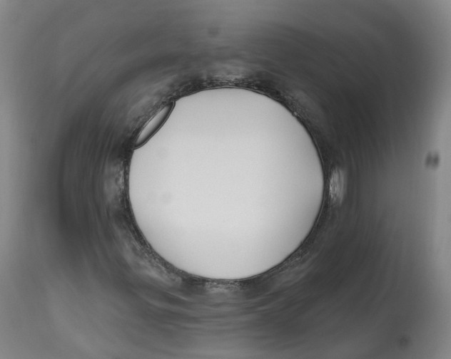 X0000112541299200909141302