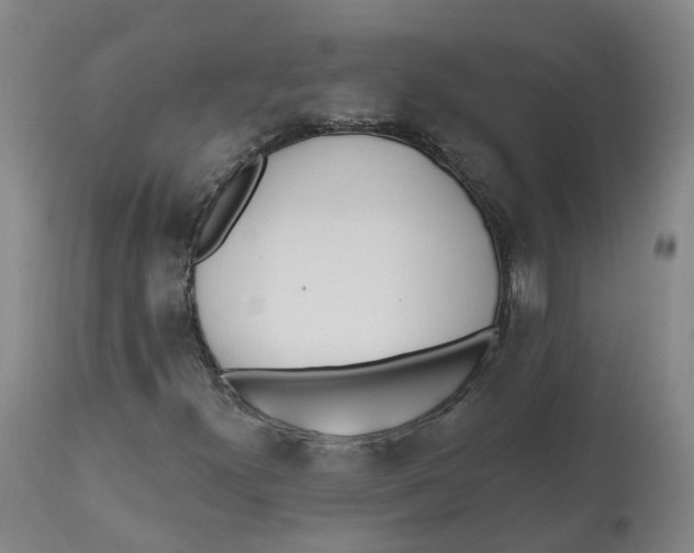 X0000112541300200909141302
