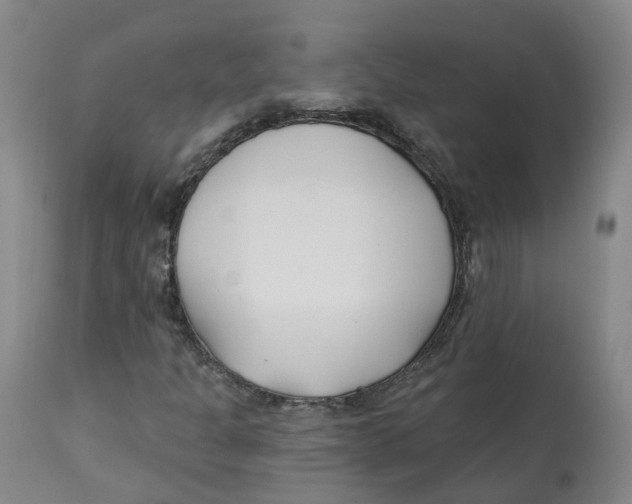 X0000112541301200909141302
