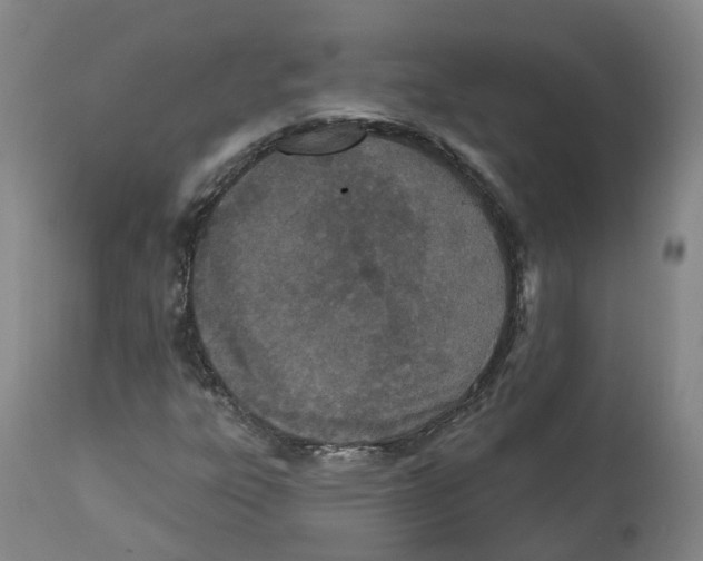 X0000112541303200909141302