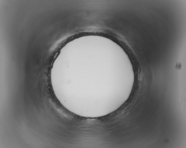 X0000112541304200909141302