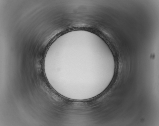 X0000112541305200909141302