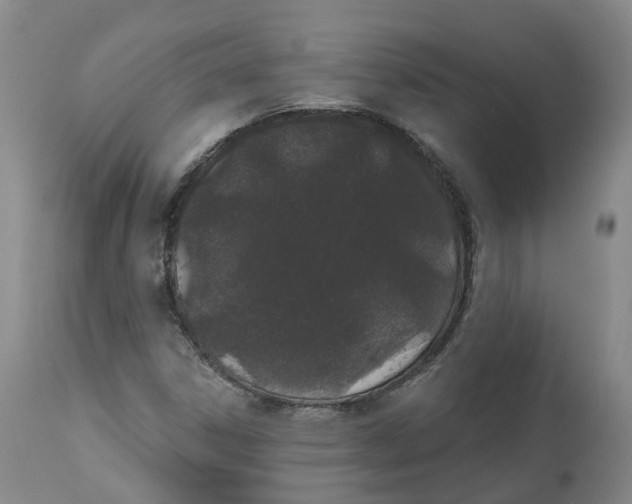 X0000112541306200909141303