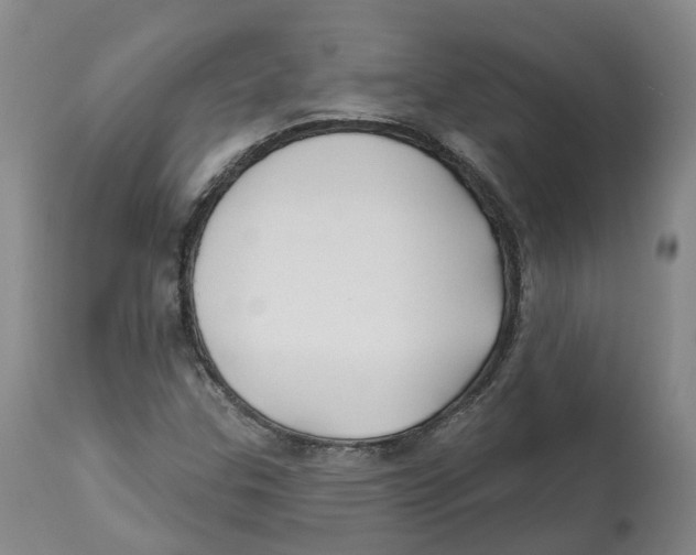 X0000112541307200909141303