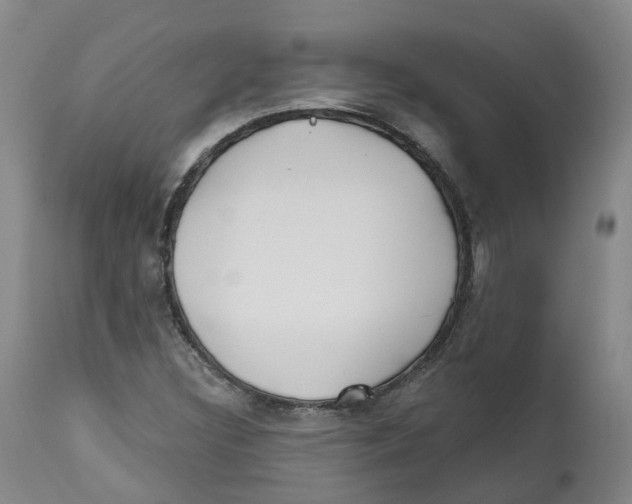 X0000112541308200909141303