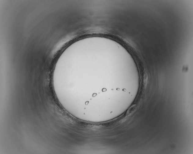 X0000112541309200909141303