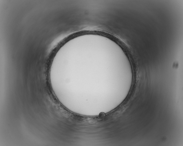 X0000112541311200909141303