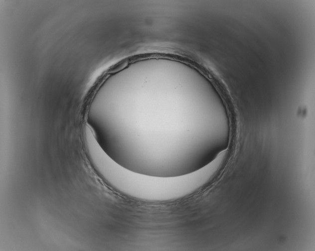 X0000112541312200909141303