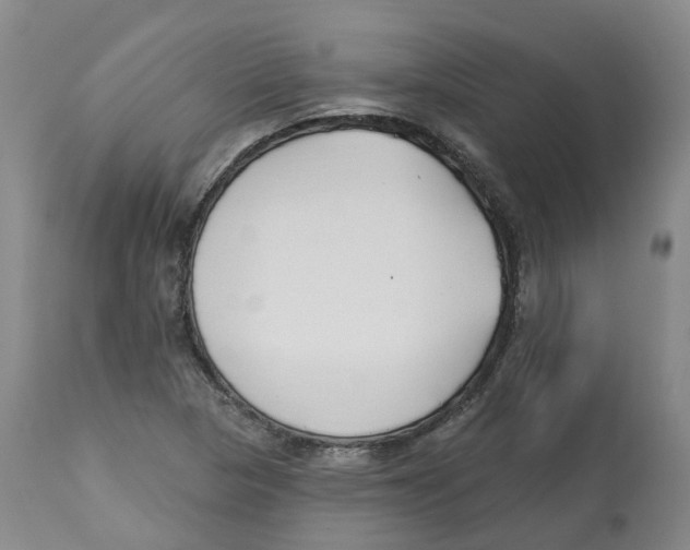 X0000112541313200909141303