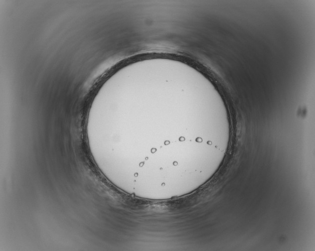 X0000112541315200909141303