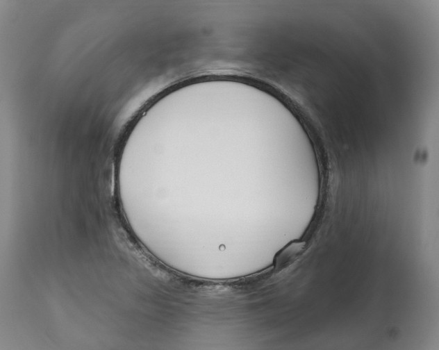 X0000112541317200909141303