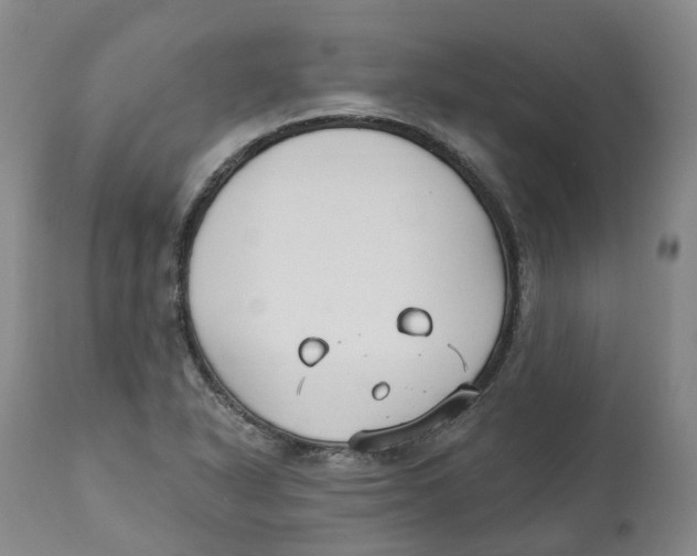 X0000112541318200909141303