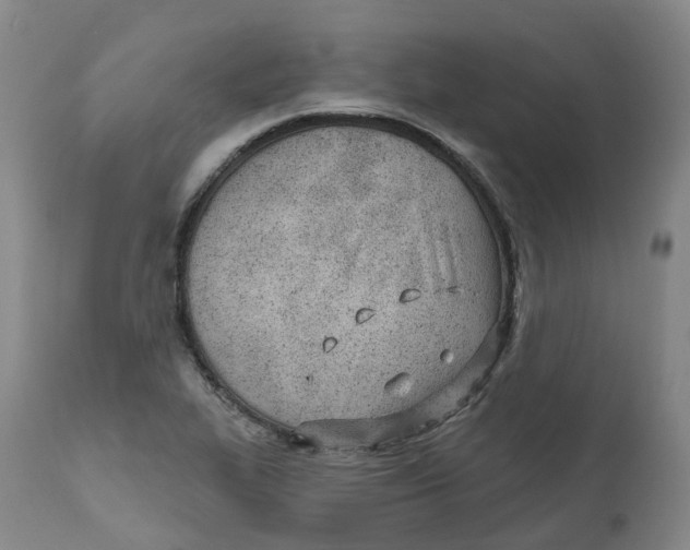 X0000112541319200909141303