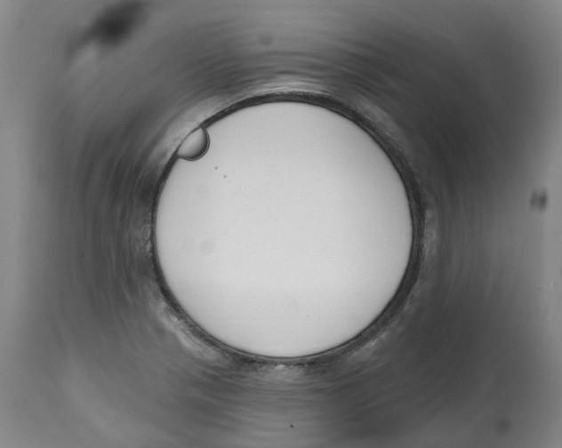 X0000112541321200909141303