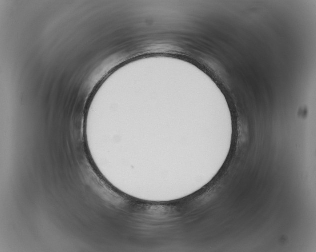 X0000112541322200909141303