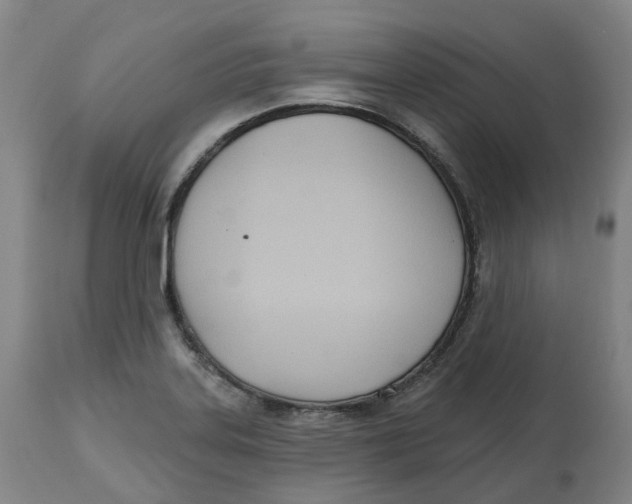 X0000112541323200909141303