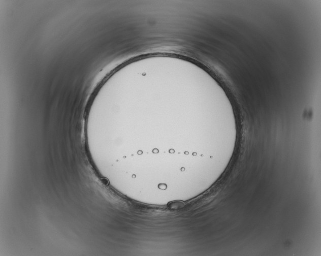 X0000112541324200909141303
