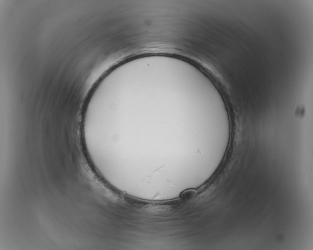 X0000112541325200909141303