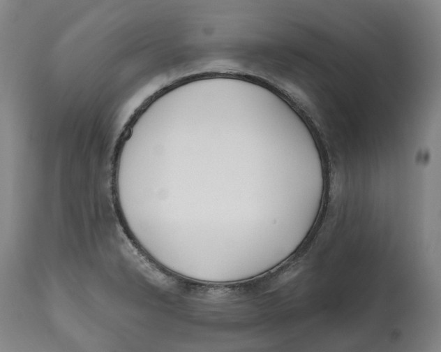 X0000112541326200909141303