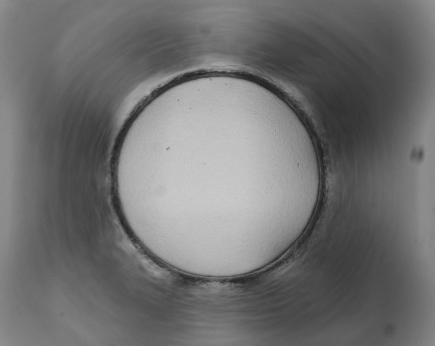 X0000112541327200909141303