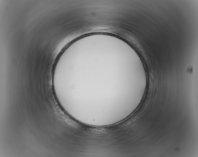 X0000112541328200909141303