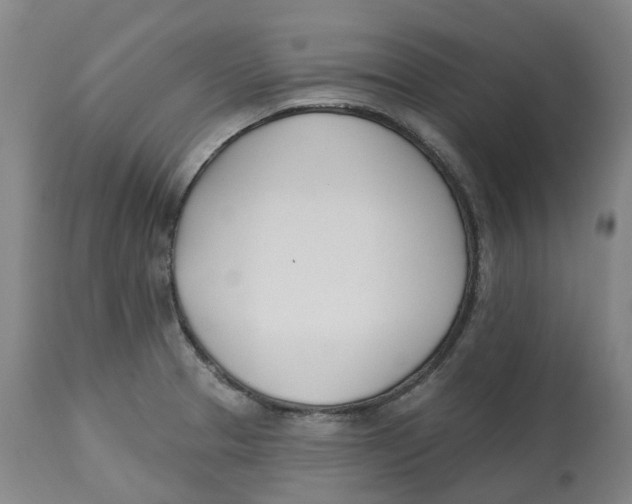 X0000112541329200909141303