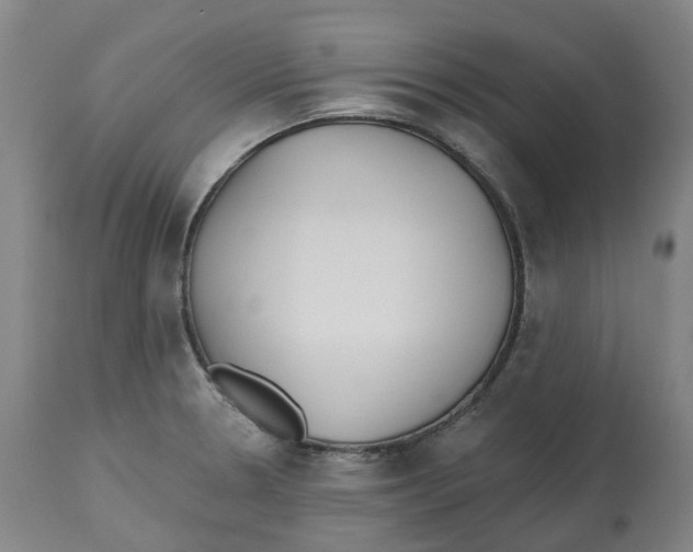 X0000112541330200909141303