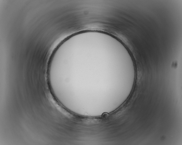 X0000112541331200909141303