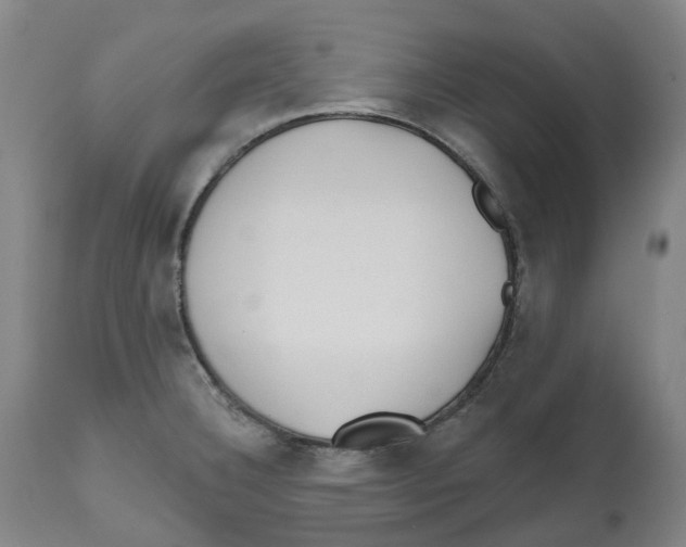 X0000112541332200909141303