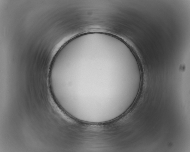 X0000112541333200909141303