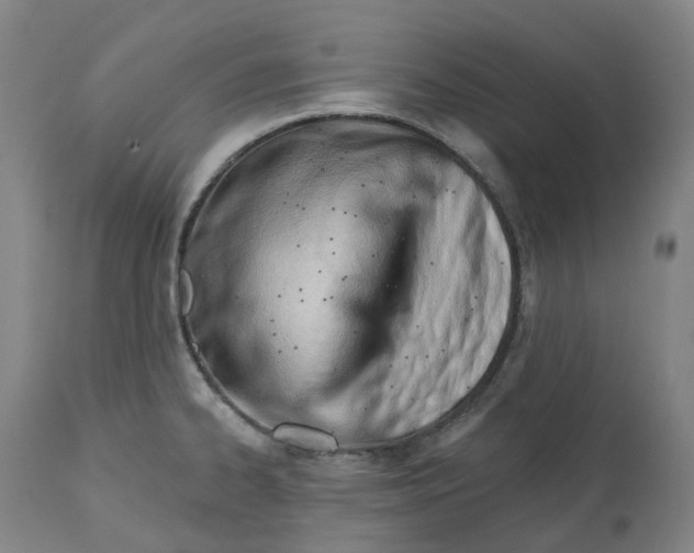 X0000112541334200909141303