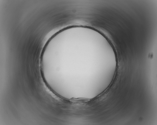 X0000112541335200909141303