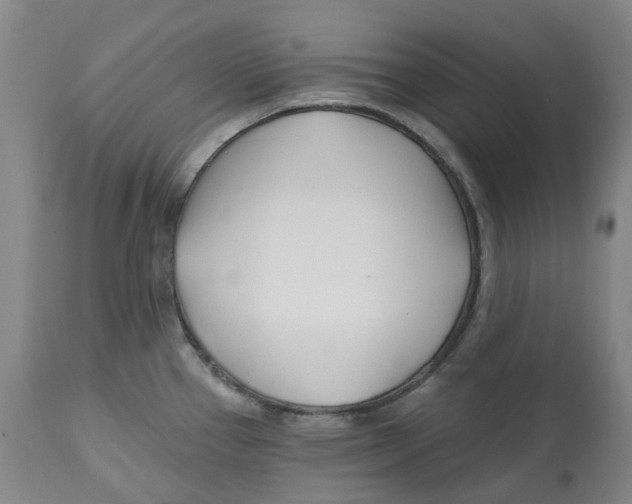 X0000112541337200909141303