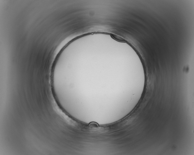 X0000112541339200909141303