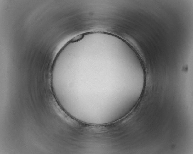 X0000112541340200909141303