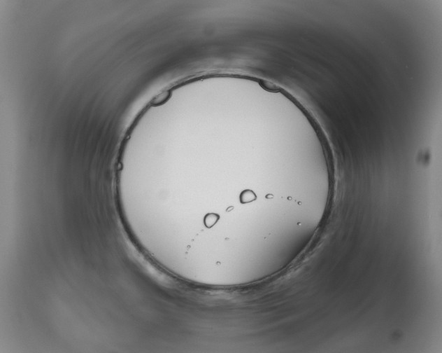X0000112541341200909141303