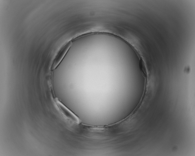 X0000112541342200909141303