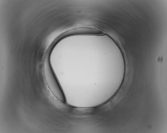 X0000112541344200909141303