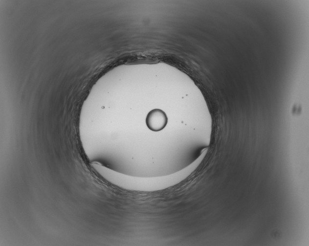 X0000112541345200909141302