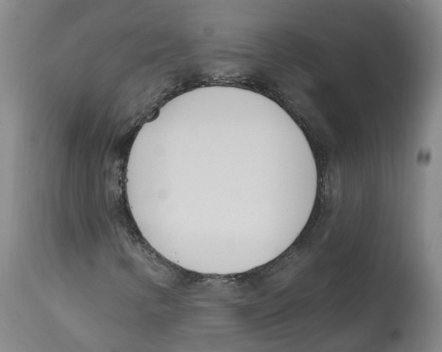 X0000112541346200909141302