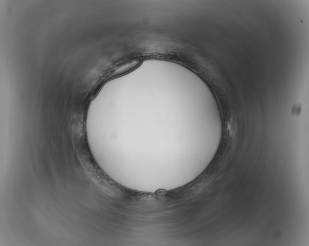 X0000112541348200909141302