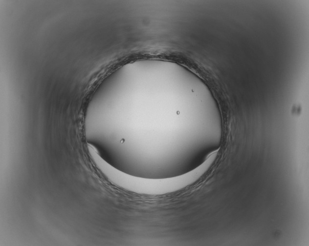 X0000112541349200909141302