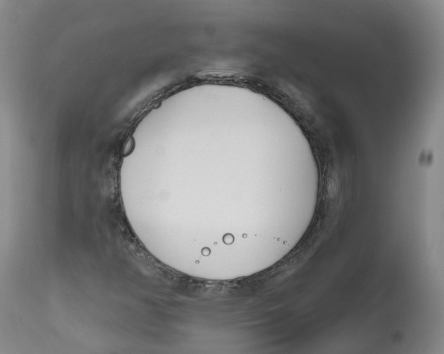 X0000112541350200909141302