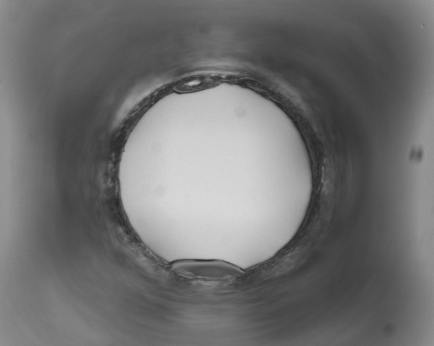 X0000112541352200909141302