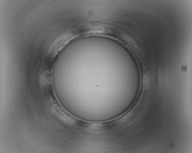 X0000112541353200909141302