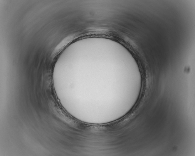 X0000112541354200909141302